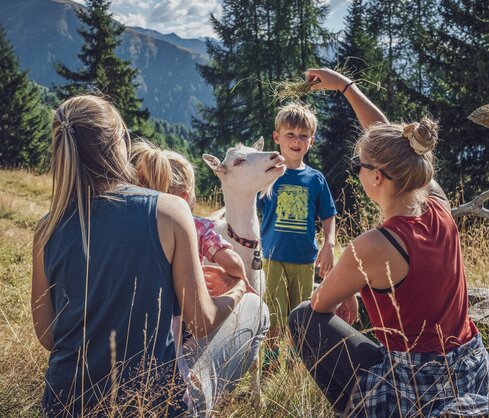 Family feeds a goat with grass  | © Davos Klosters Mountains 