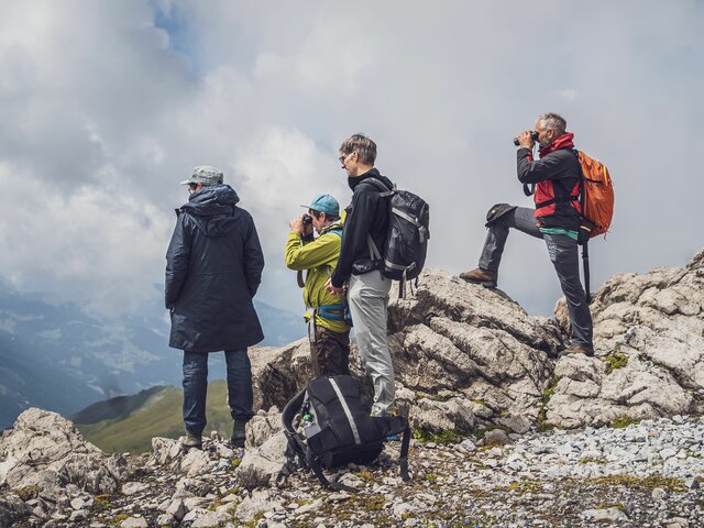 Eine Gruppe mit zwei Guides von Pur erleben beobachten von Auge und mit Ferngläsern die Steinböcke auf Parsenn. | © Davos Klosters Mountains