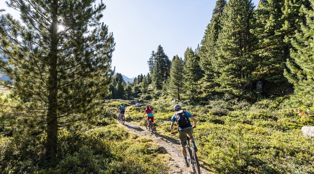 Zwei Eltern und ein Kind fahren mit dem Mountainbike auf einem Trail, der durch den Wald führt. | © Destination Davos Klosters | Martin Bissig