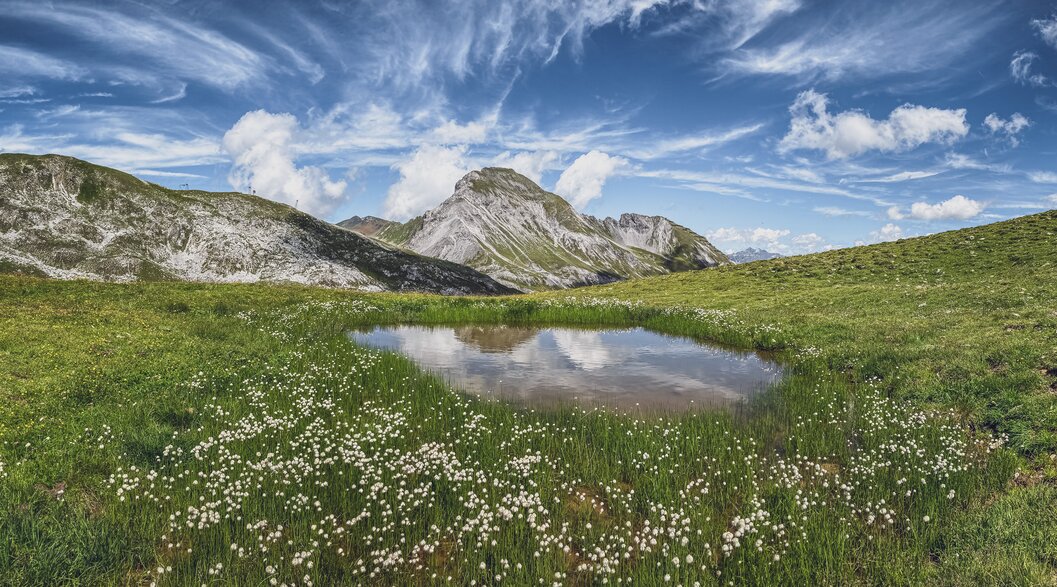 Kleiner See umringt von saftig, grüner Weide mit Bergen im Hintergrund | © Davos Klosters Mountains 