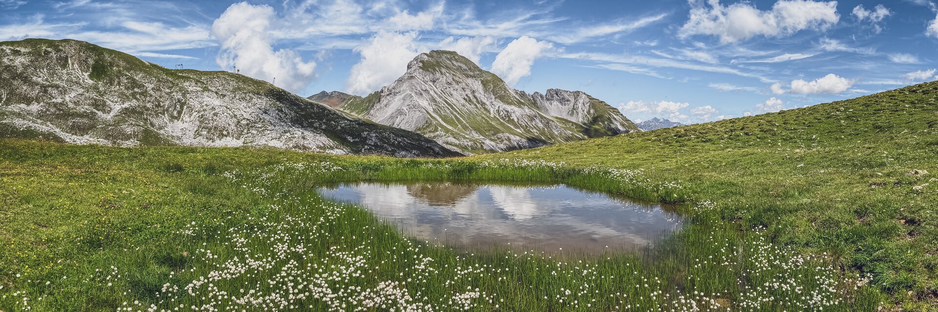 Small lake surrounded by juicy, green field with mountains in the background | © Davos Klosters Mountains 