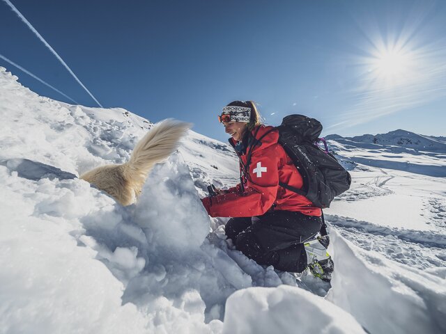 Lawinenhündin Emma gräbt sich zu Person | © Davos Klosters Mountains Lawinenhündin Emma hat die Person im Schnee aufgespürt und gräbt sich zu ihr vor. | © Davos Klosters Mountains