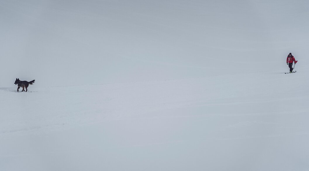Hundeführer mit Lawinenhund auf Suche | © Davos Klosters Mountains Lawinenhundeführer läuft mit seinem Lawinenhund bei einer Übung über das Schneefeld auf der Suche nach verschütteten Personen. | © Davos Klosters Mountains