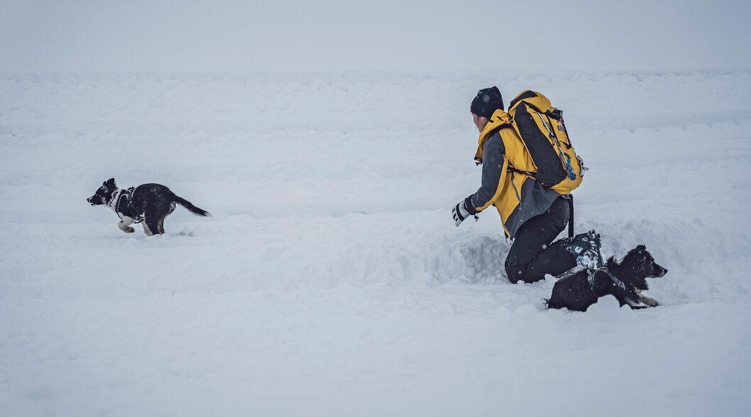 Hundewelpen Rif Übung Schnee | © Davos Klosters Mountains Hundewelpen Rif folgt bei einer Übung seiner Besitzerin und rennt zu einer wartenden Person. | © Davos Klosters Mountains