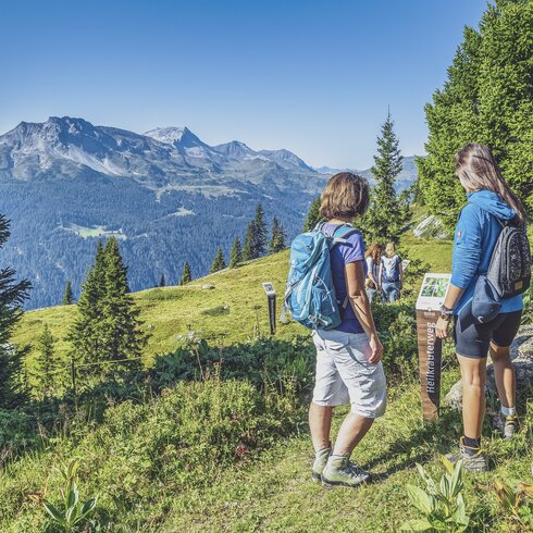 Hiking group enjoys one of the diverse hikes on Madrisa while having a clear, blue sky. | © Davos Klosters Mountains
