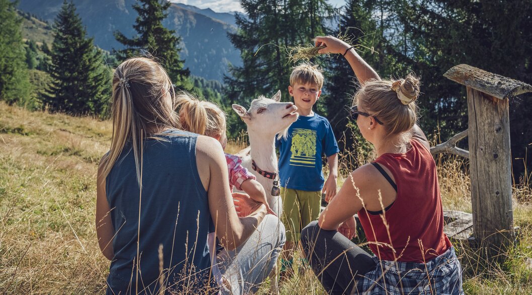 Familie füttert eine Geiss mit Gras  | © Davos Klosters Mountains 